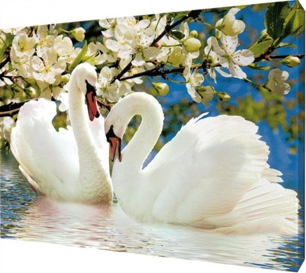 картина лебеди