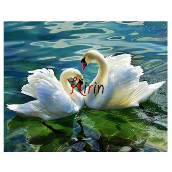 пара лебедей