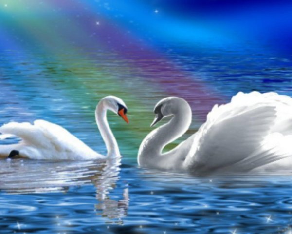 красивая природа с лебедями