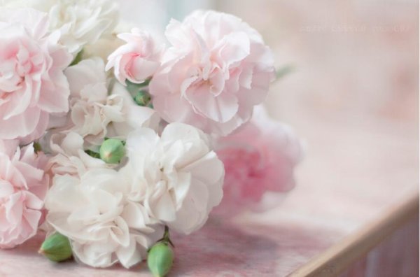 нежный цветок