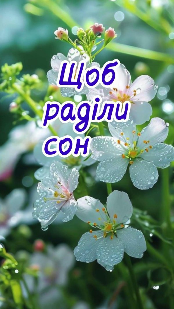 цветок весенний