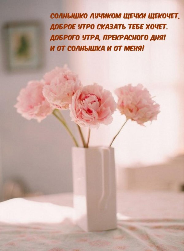 доброе утро прекрасная