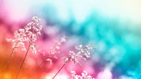 фоновое изображение