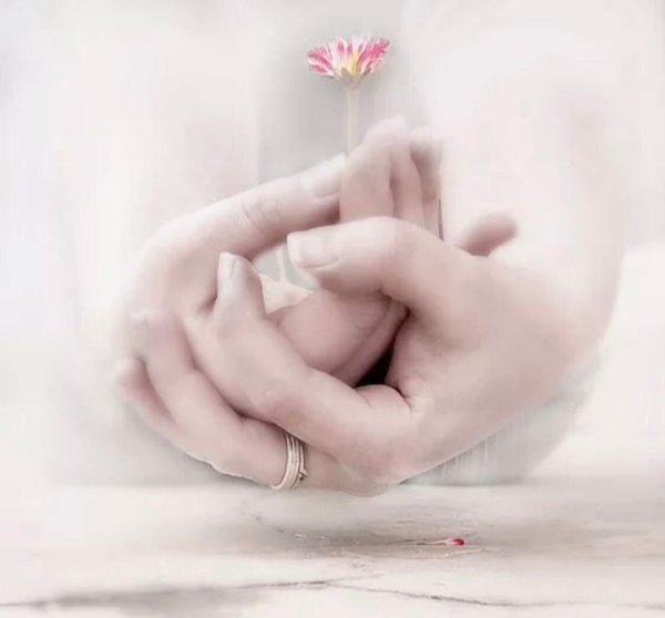 ладони нежные