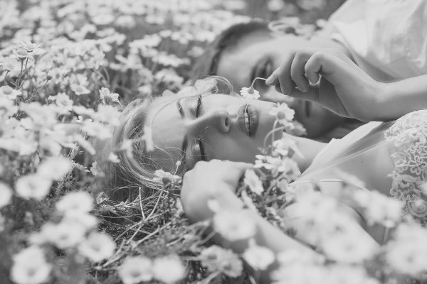 ромашковое поле