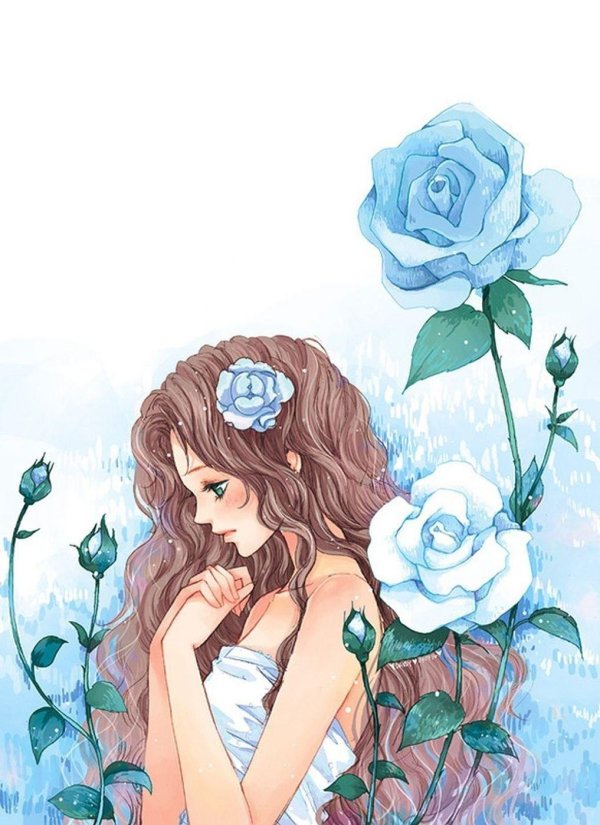 роза голубая