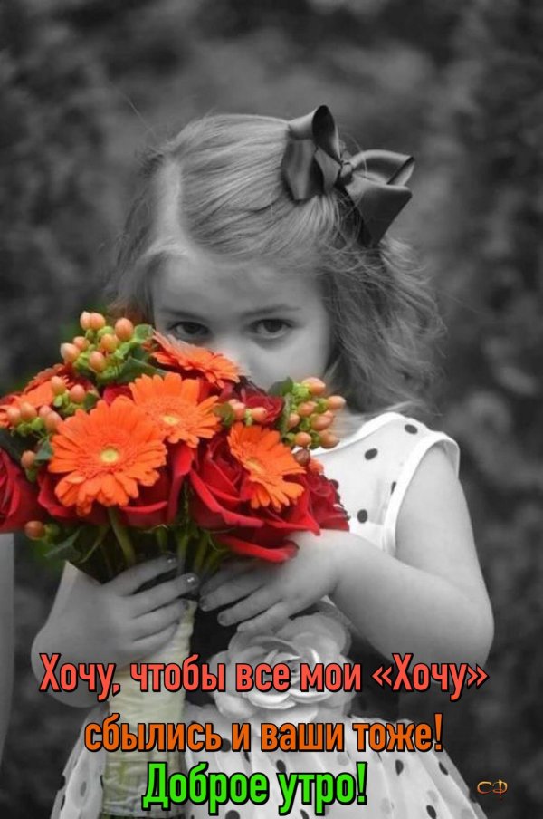 цветы девочке