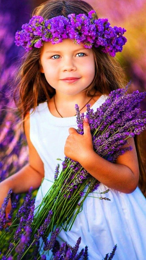 лавандовое поле