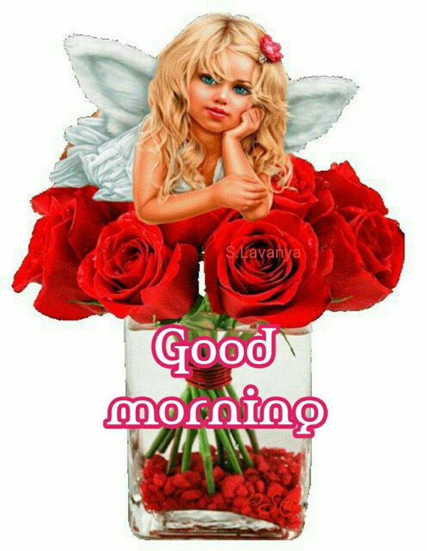 анимированная гифка