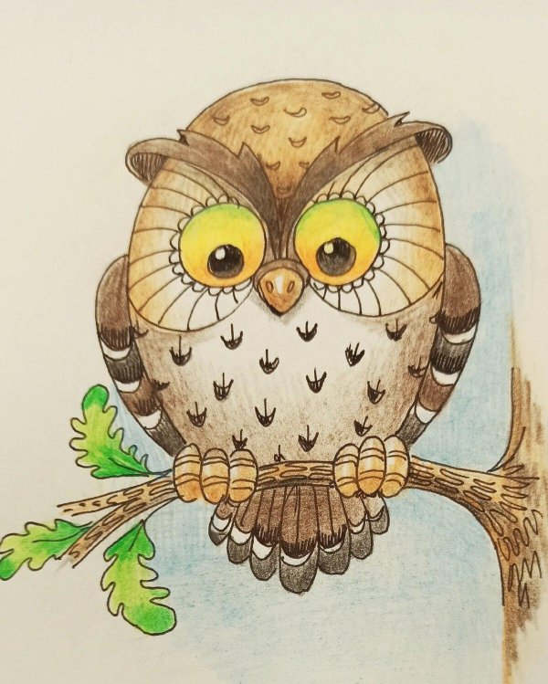 рисунки филина