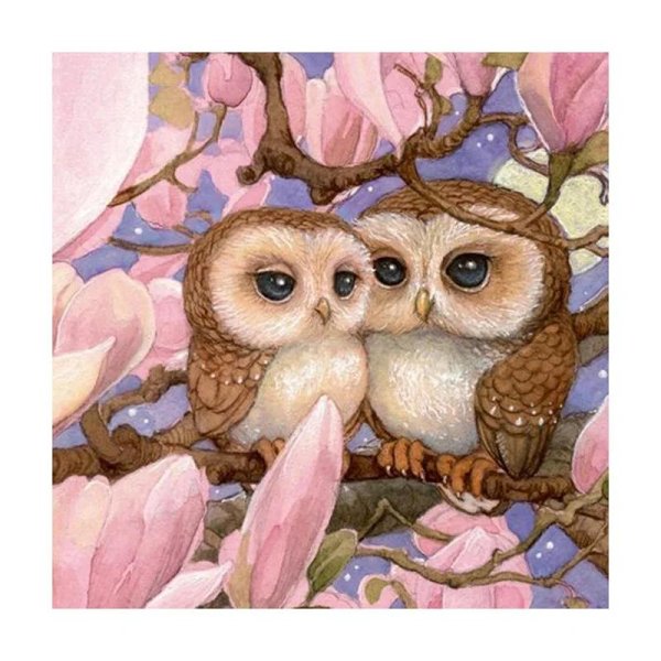 милые совушки