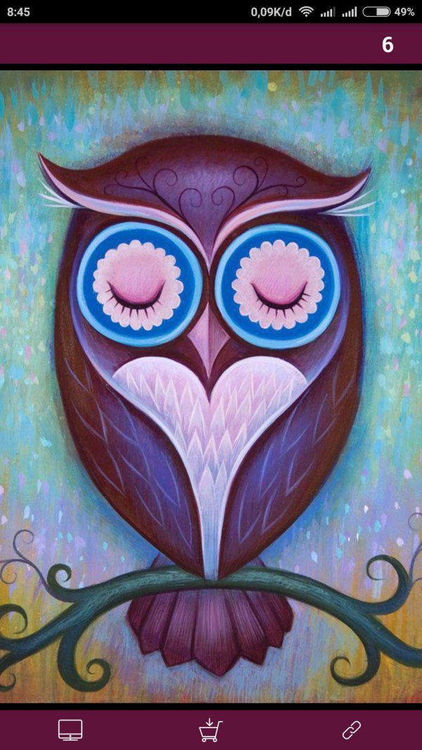 картина по номерам совушки