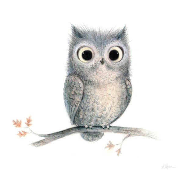 совушка рисунок