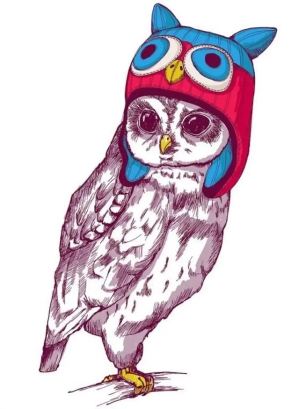 рисунок совы для срисовки