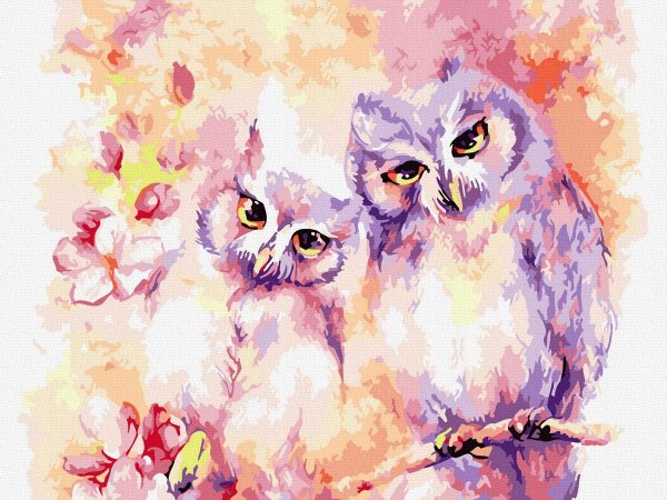 картина по номерам нежные совы