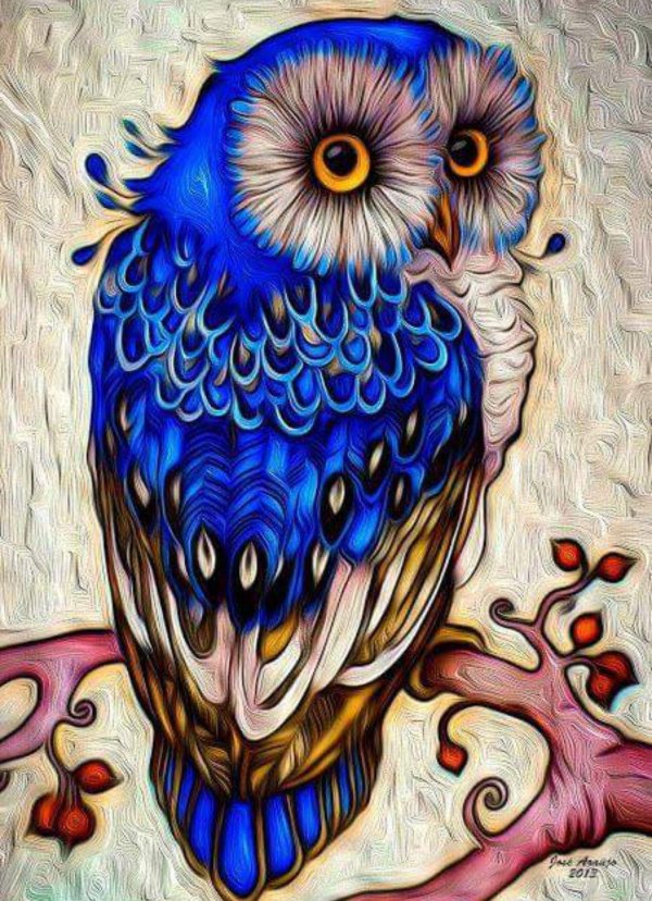 дэвид галчутт совы