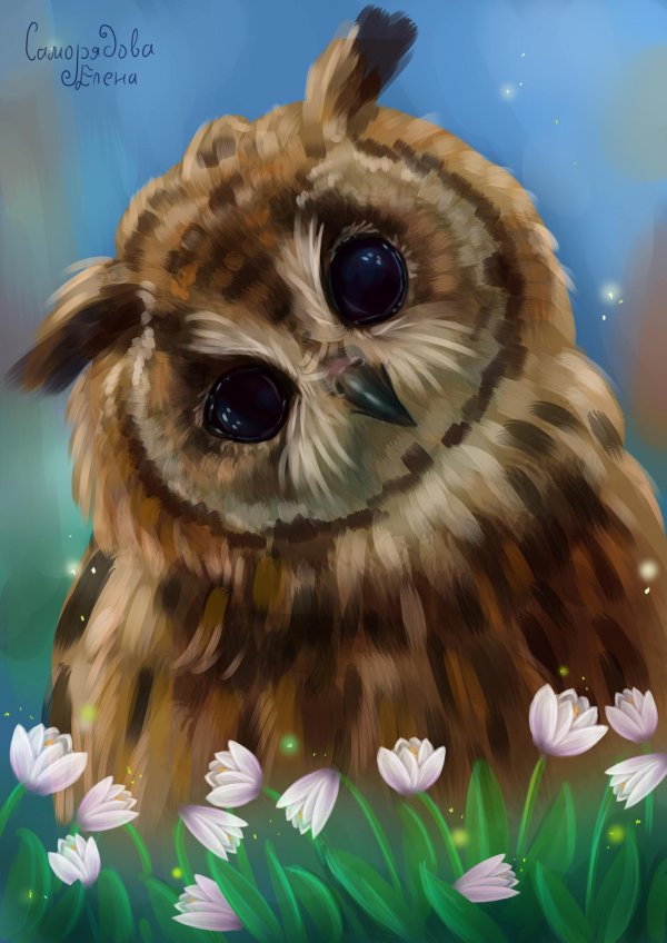 елена саморядова