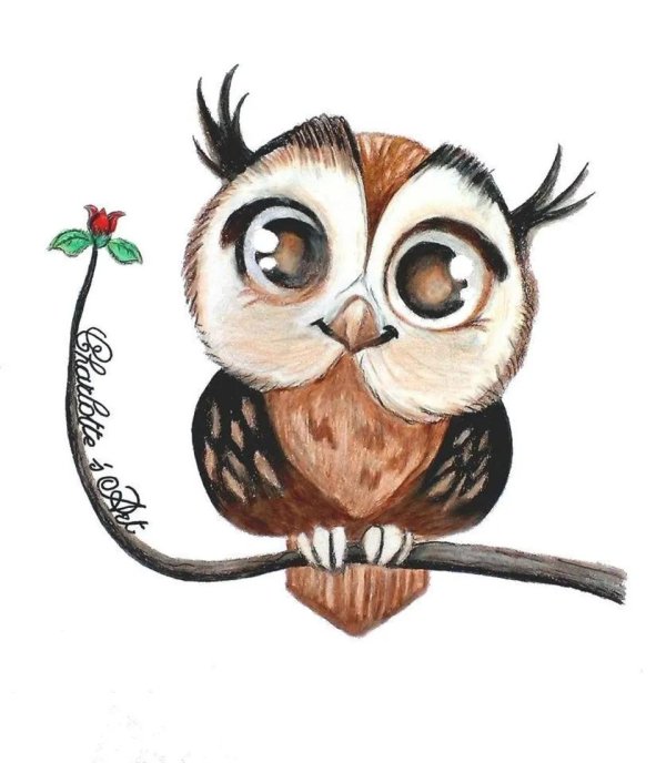 милые совушки