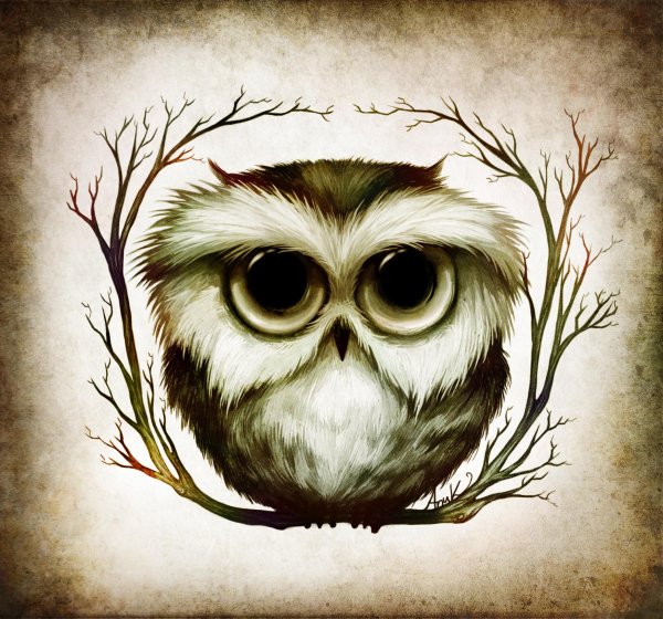 лёгкий рисунок совы