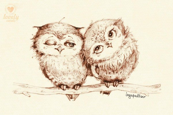 совушка рисунок