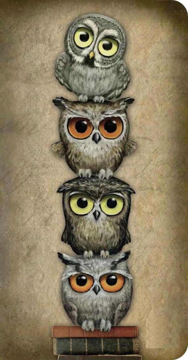 изображение совы