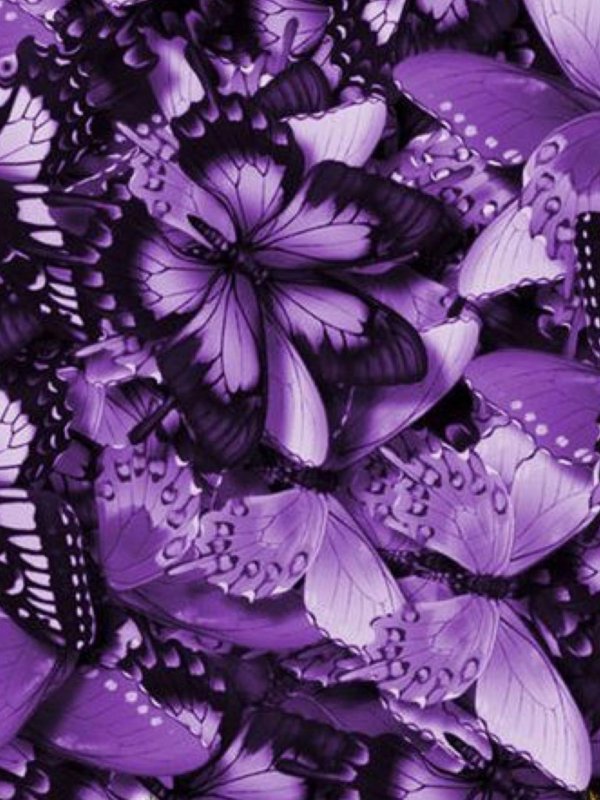 сиреневая бабочка