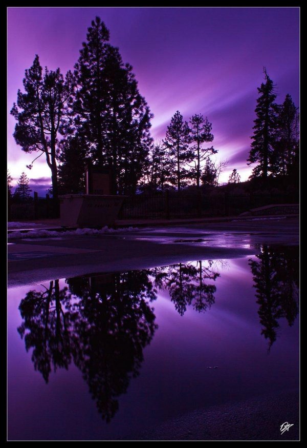 сиреневый закат