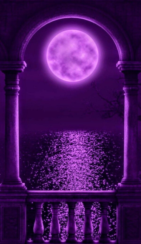 фиолетовая ночь