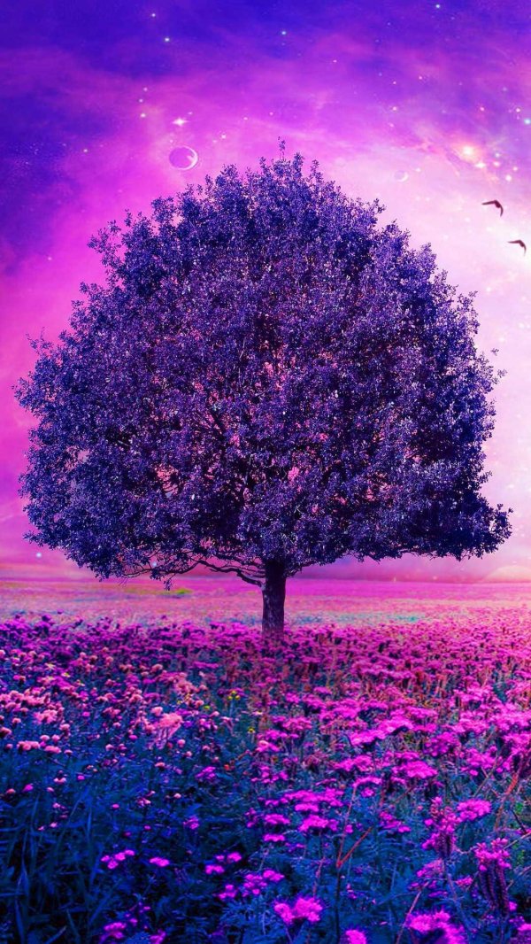 сиреневое дерево