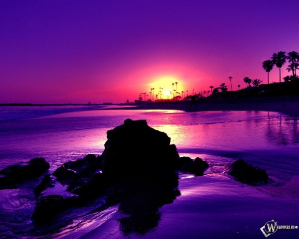 пурпурный закат