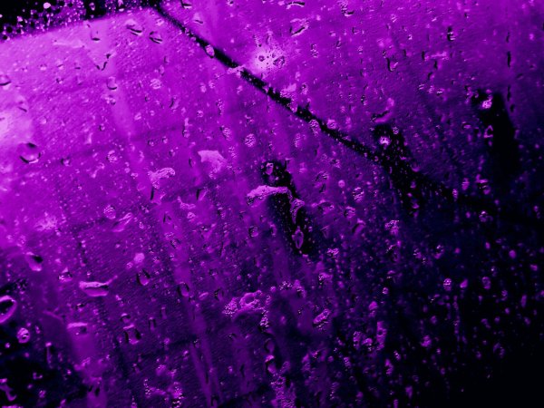 фиолетовые капли