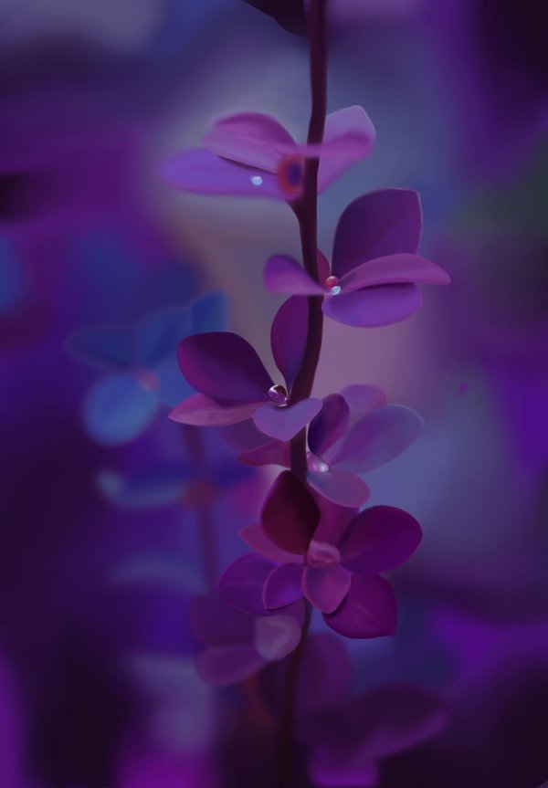 цветы лиловые