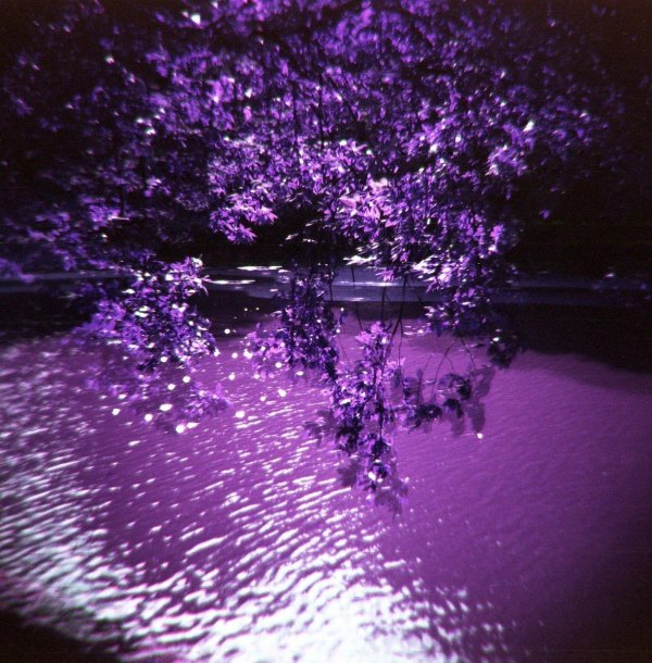 фиолетовые тона