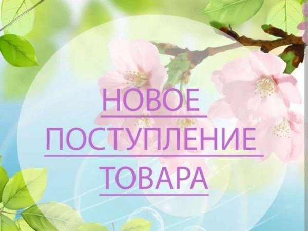 новое поступление