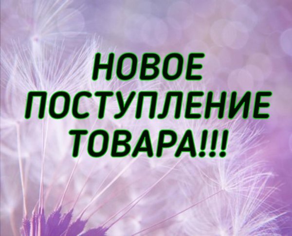 новое поступление
