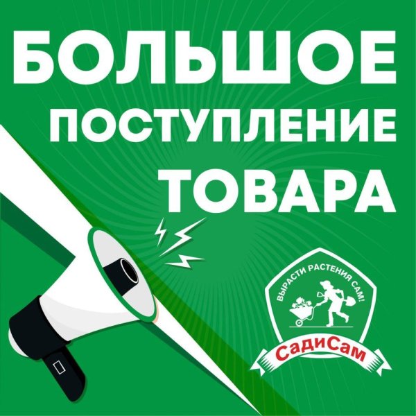 большое поступление