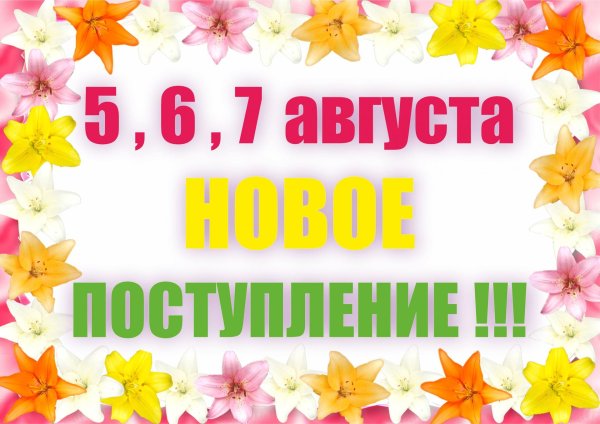 поступление новинок