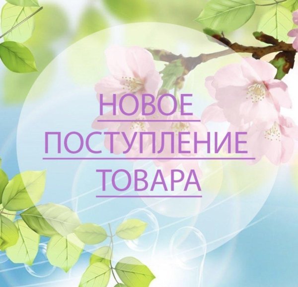 новое поступление