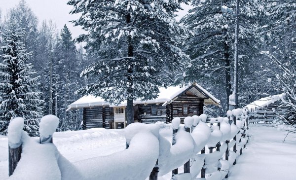 избушка в зимнем лесу