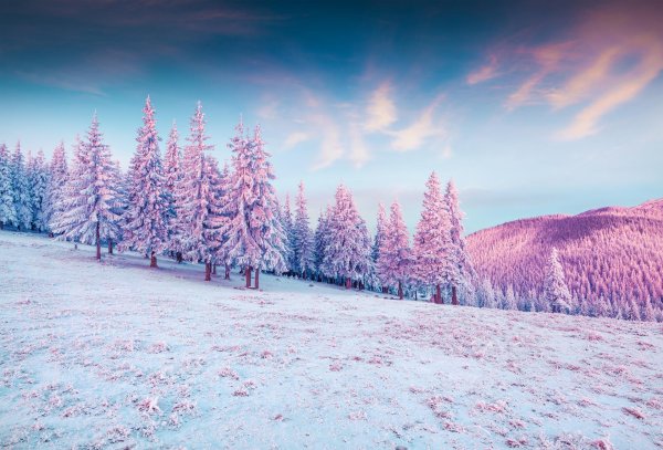 зимний рассвет