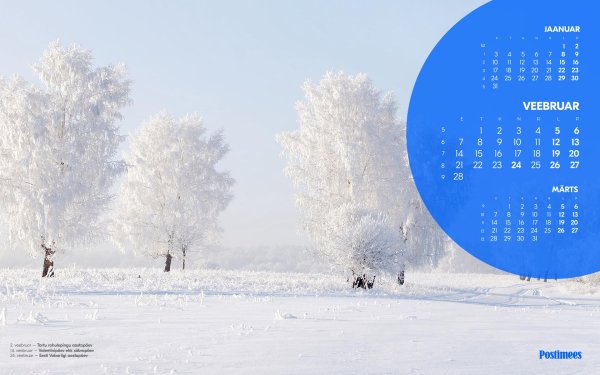 зимнего утра