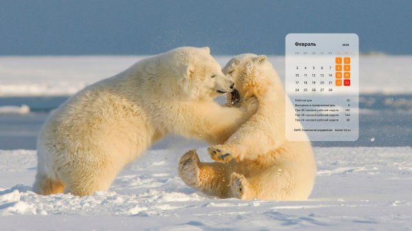 медведь полярный