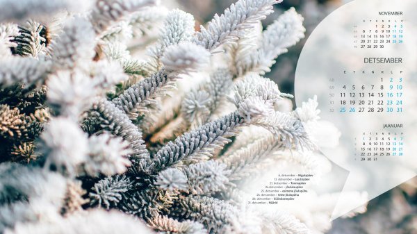 фон для календарей