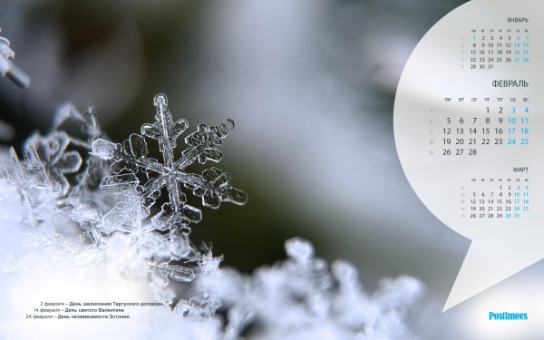 снежинка крупным планом