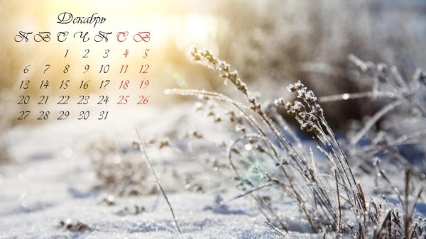 красивые календари