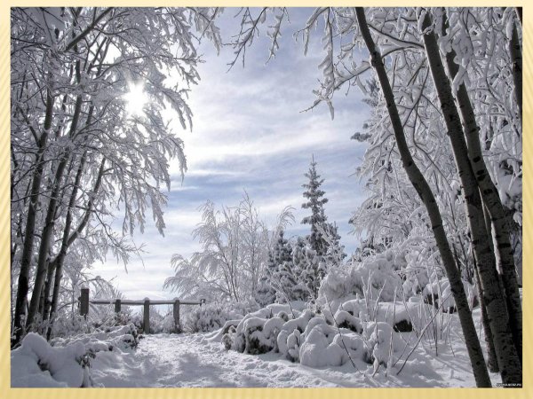 красивые пейзажи зимы