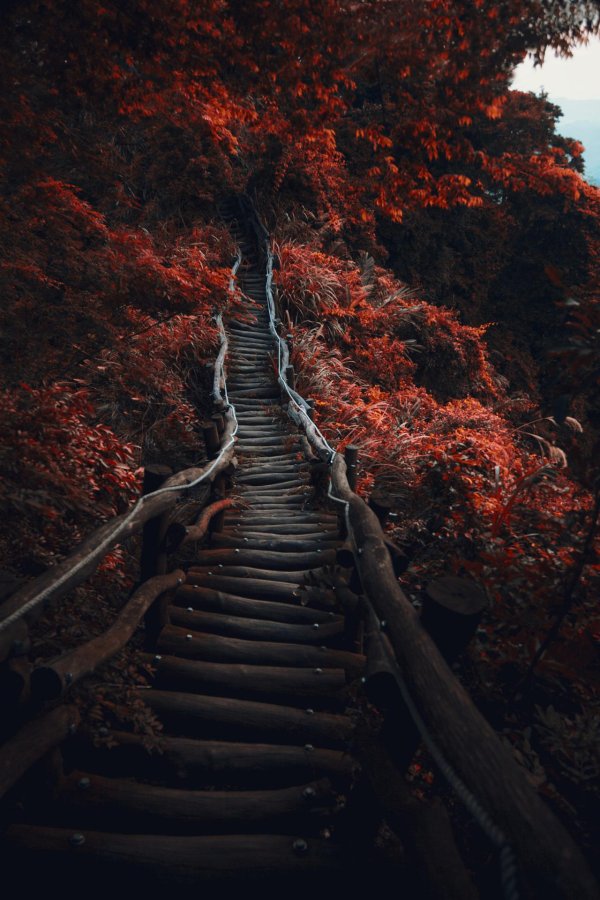 лестница красивая