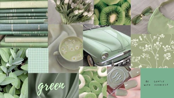 sage green aesthetic