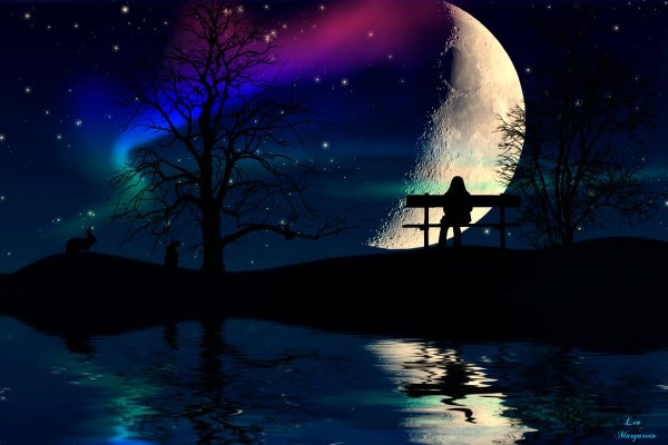 ночь тишина