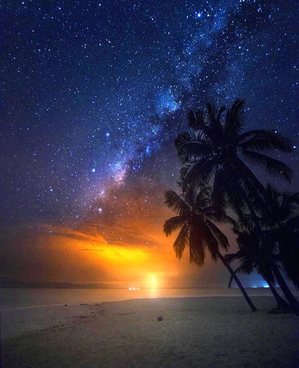 пальмы ночью